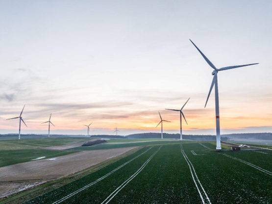 Énergie verte : Luminus et Google s’allient à nouveau en signant un troisième contrat d'achat d'électricité (CPPA) portant sur l’électricité de 14 nouvelles éoliennes  