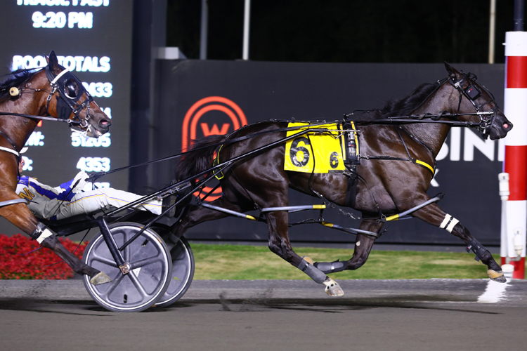 Chantilly and driver James MacDonald winning the second elimination for the Shes A Great Lady on September 14, 2024 at Woodbine Mohawk Park (New Image Media) Chantilly and driver James MacDonald winning the second elimination for the Shes A Great Lady on September 14, 2024 at Woodbine Mohawk Park (New Image Media)