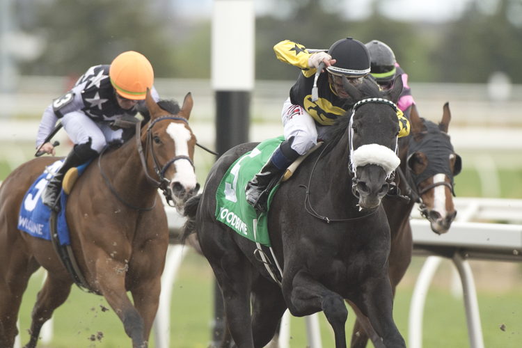 Church and State and jockey Rafael Hernandez winning the King Corrie stakes on May 18, 2025 at Woodbine (Michael Burns Photo)