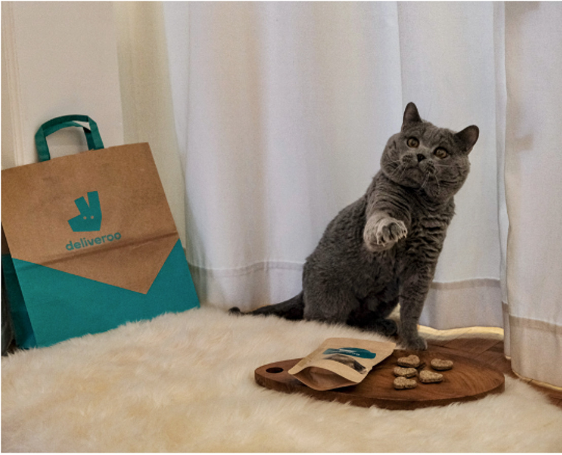 Miauwlicious! Deliveroo pakt uit met kattenkoekjes voor International Cat Day
