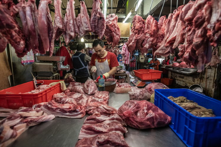 Marché humide Taipei, Taiwan © Jo-Anne McArthur / We Animals
