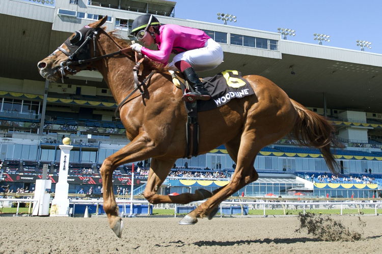 Our Secret Agent and jockey Kazushi Kimura winning the Ontario Derby on October 23, 2022 at Woodbine (Michael Burns Photo)