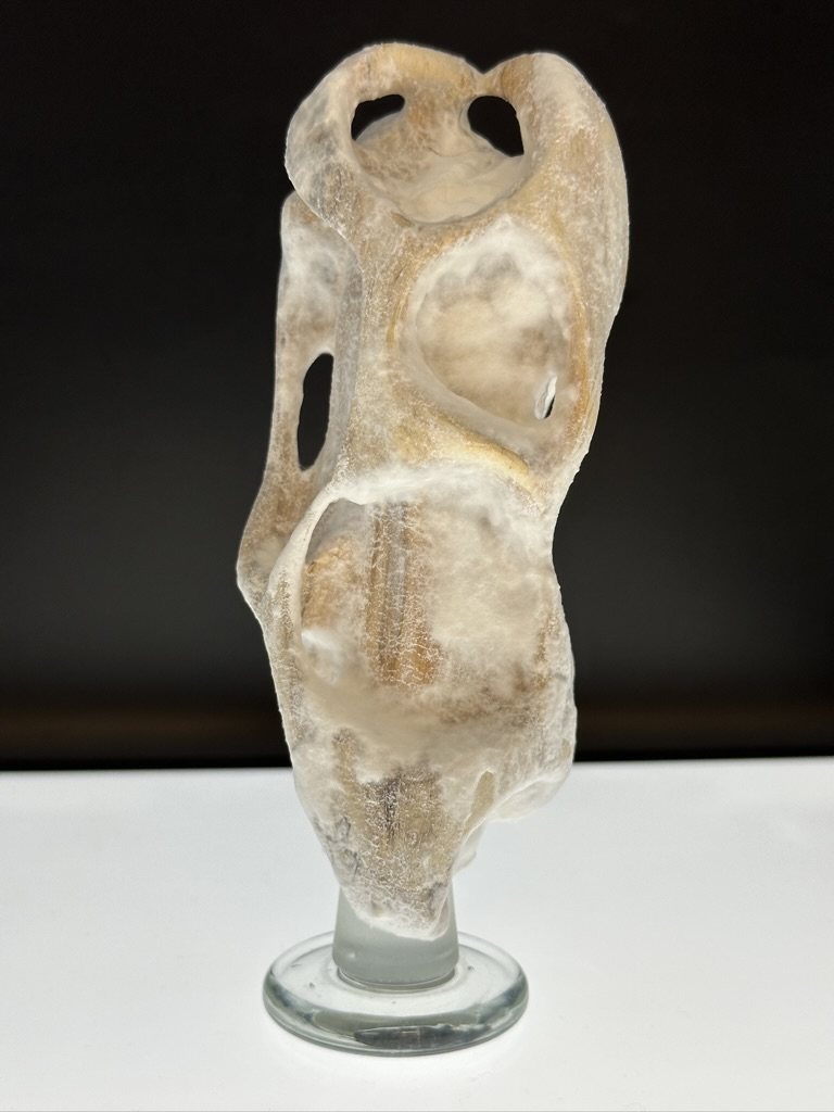 Sculptuur uit hout, begroeid met mycelium. Afbeelding © Elise Elsacker