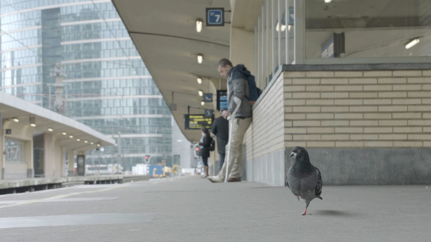 Pano (c) VRT