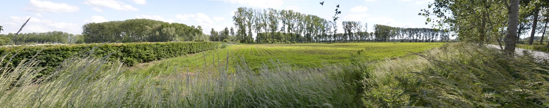 Zicht op projectgebied Oostdonk