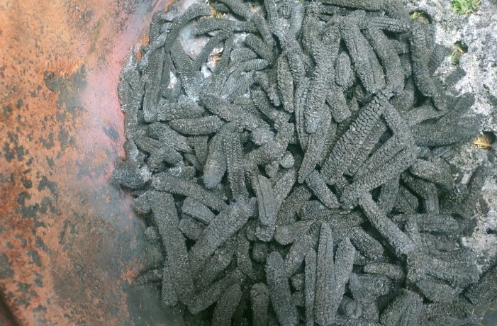 Biochar derived from maize spindles after pyrolysis in the portable kiln at 400°C