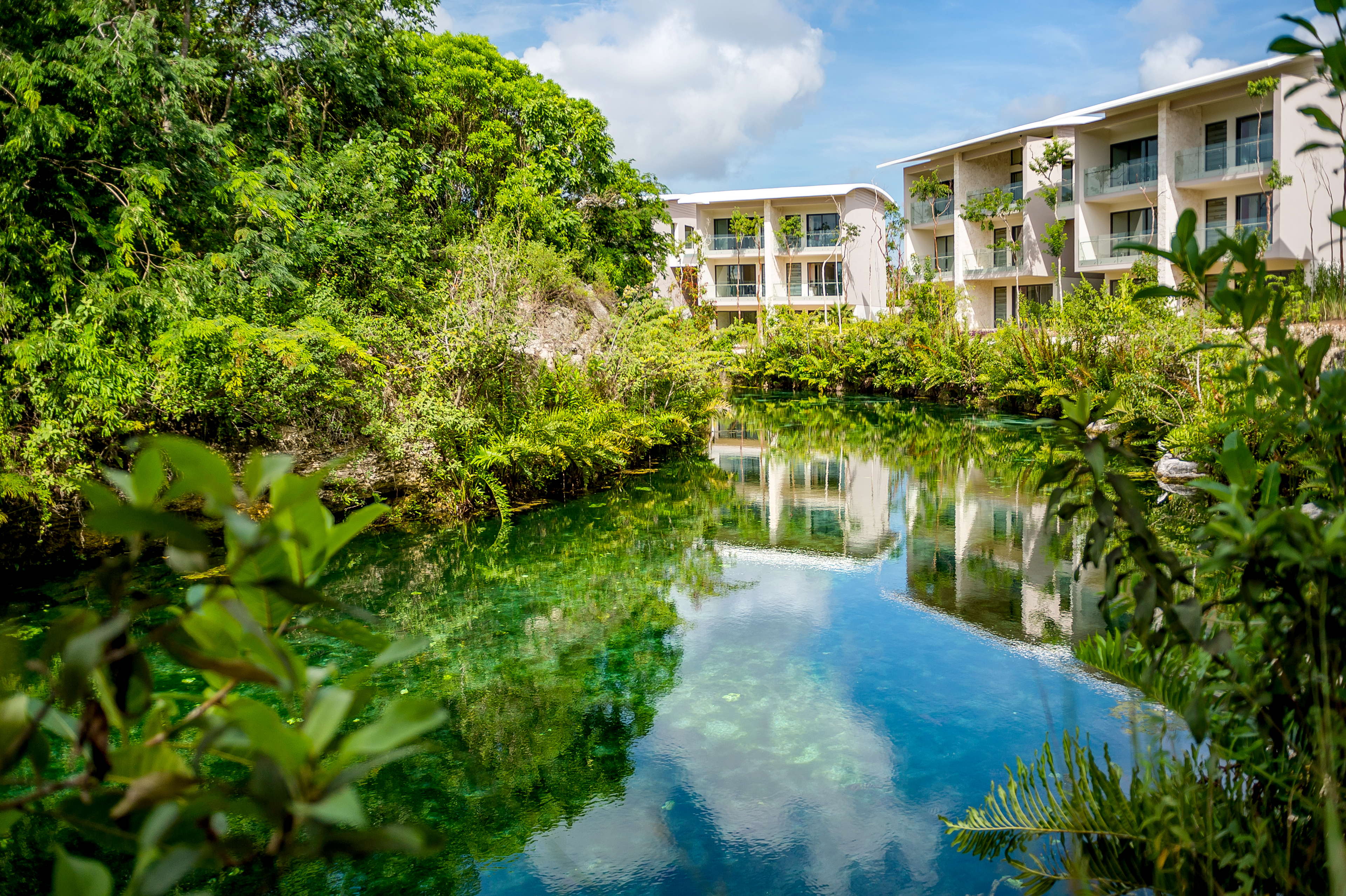 Andaz Mayakoba: Un Paraíso Festivo con Experiencias Únicas para Navidad y Año Nuevo 