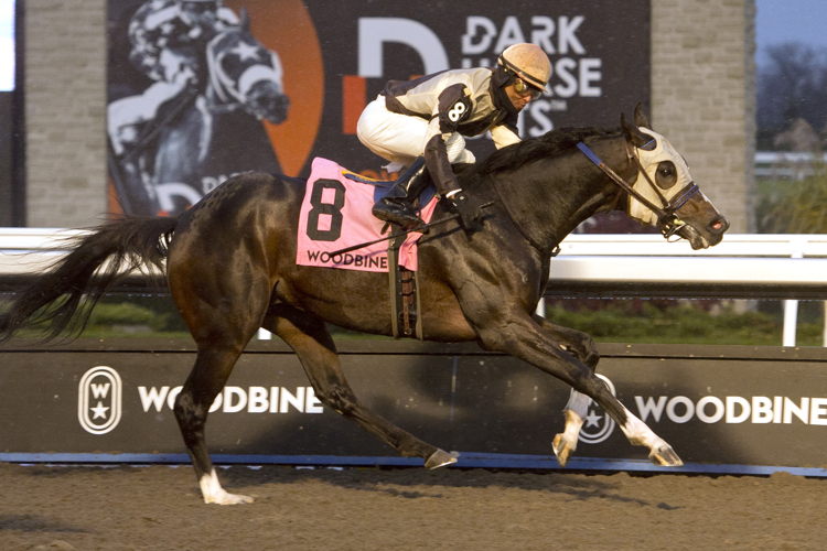 Might Heart, under Patrick Husbands, powered through a tough field to capture the Grade 2 Autumn Stakes at Woodbine. (Michael Burns Photo)