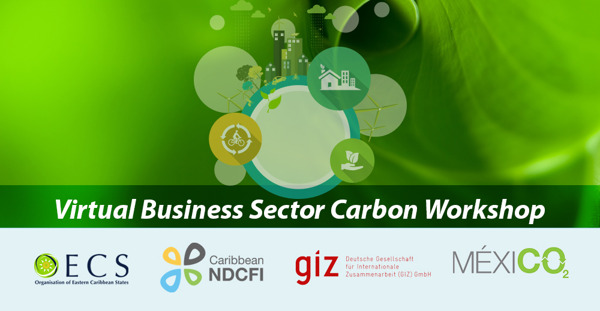 Preview: OECS, GIZ and MEXICO2 Host Virtual Business Sector Carbon Workshop