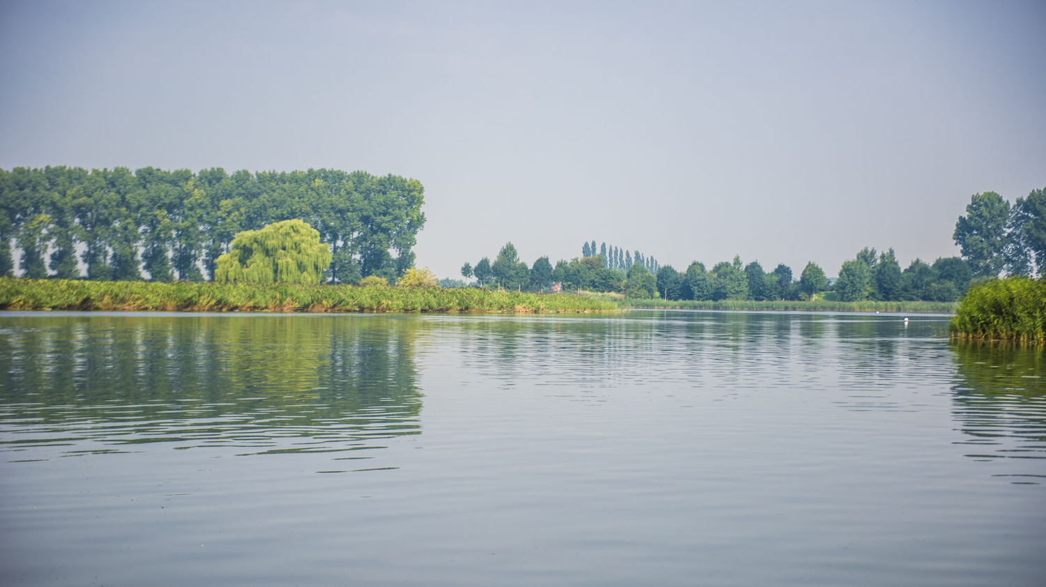 Sint-Laureins - Boerekreek