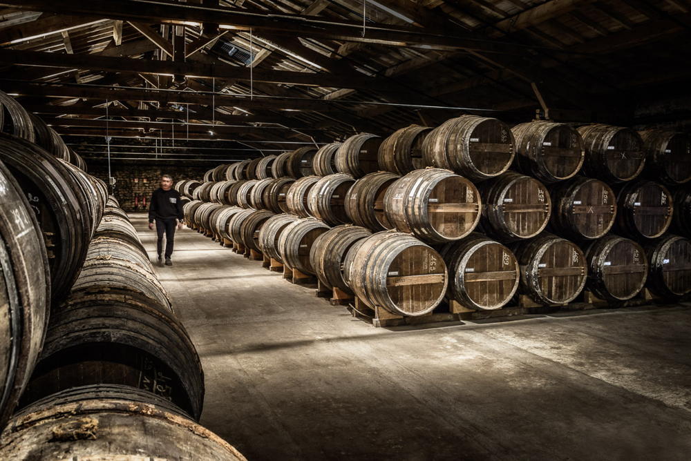 Bodega LOUIS XIII