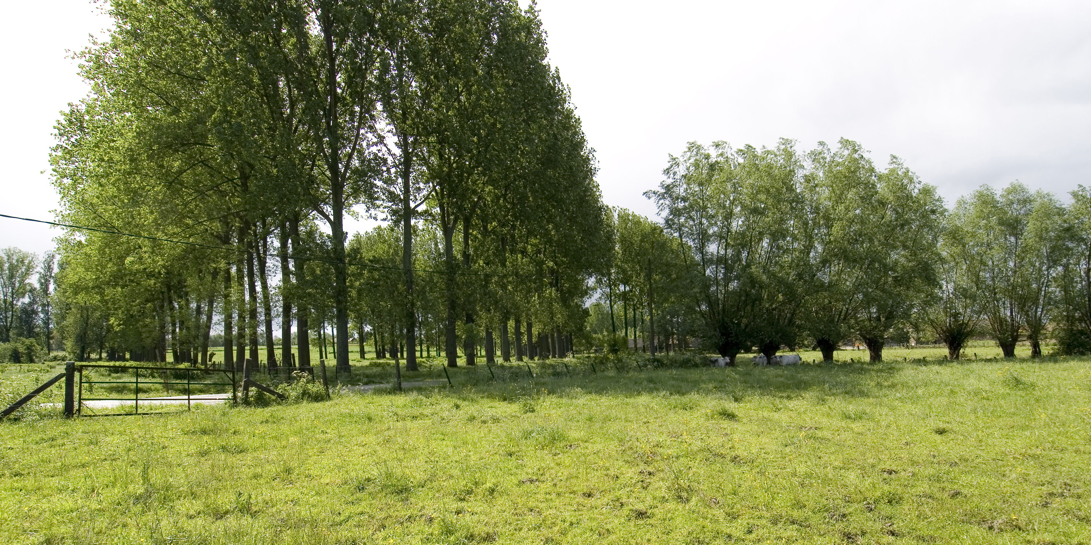 Herne, Gooik en Galmaarden blijven ook na de fusie een landelijke gemeente.