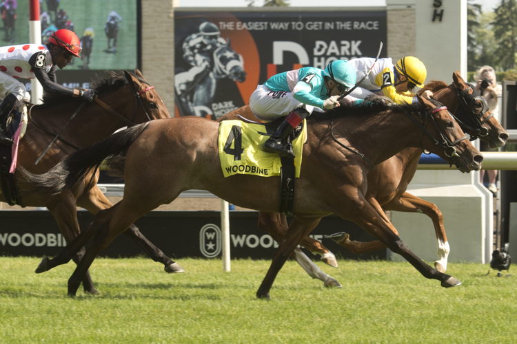 Lady Speightspeare (Emma-Jayne Wilson) and Crystal Cliffs (Rafael Hernandez) dead-heat to win the Nassau Stakes (G2) on Saturday at Woodbine. (Michael Burns Photo) Lady Speightspeare (Emma-Jayne Wilson) and Crystal Cliffs (Rafael Hernandez) dead-heat to win the Nassau Stakes (G2) on Saturday at Woodbine. (Michael Burns Photo)