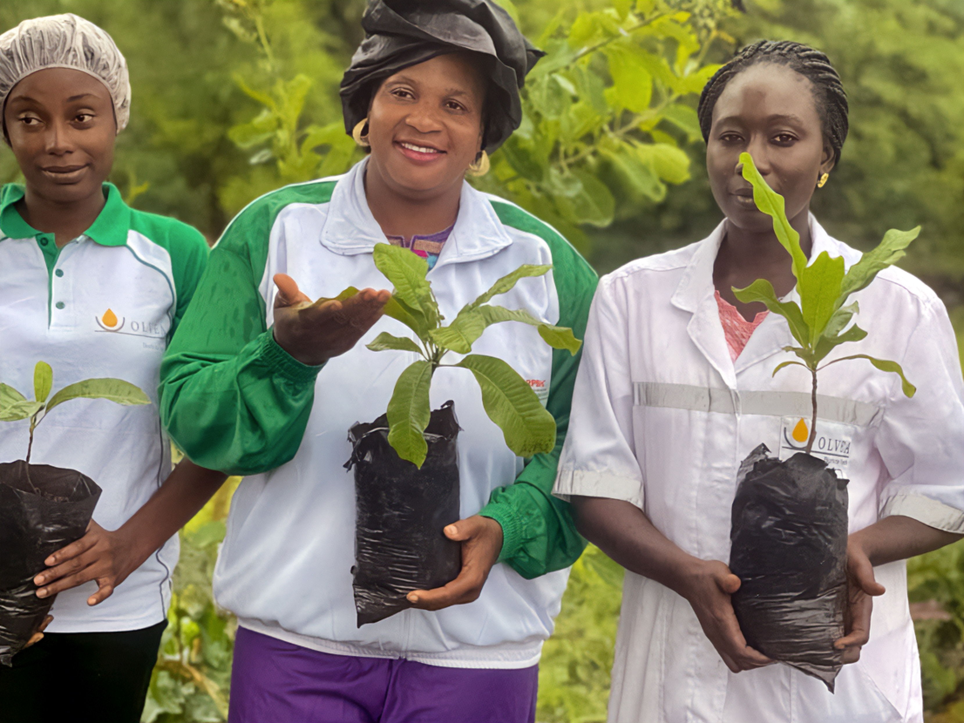 Women participate in a training on reforestation