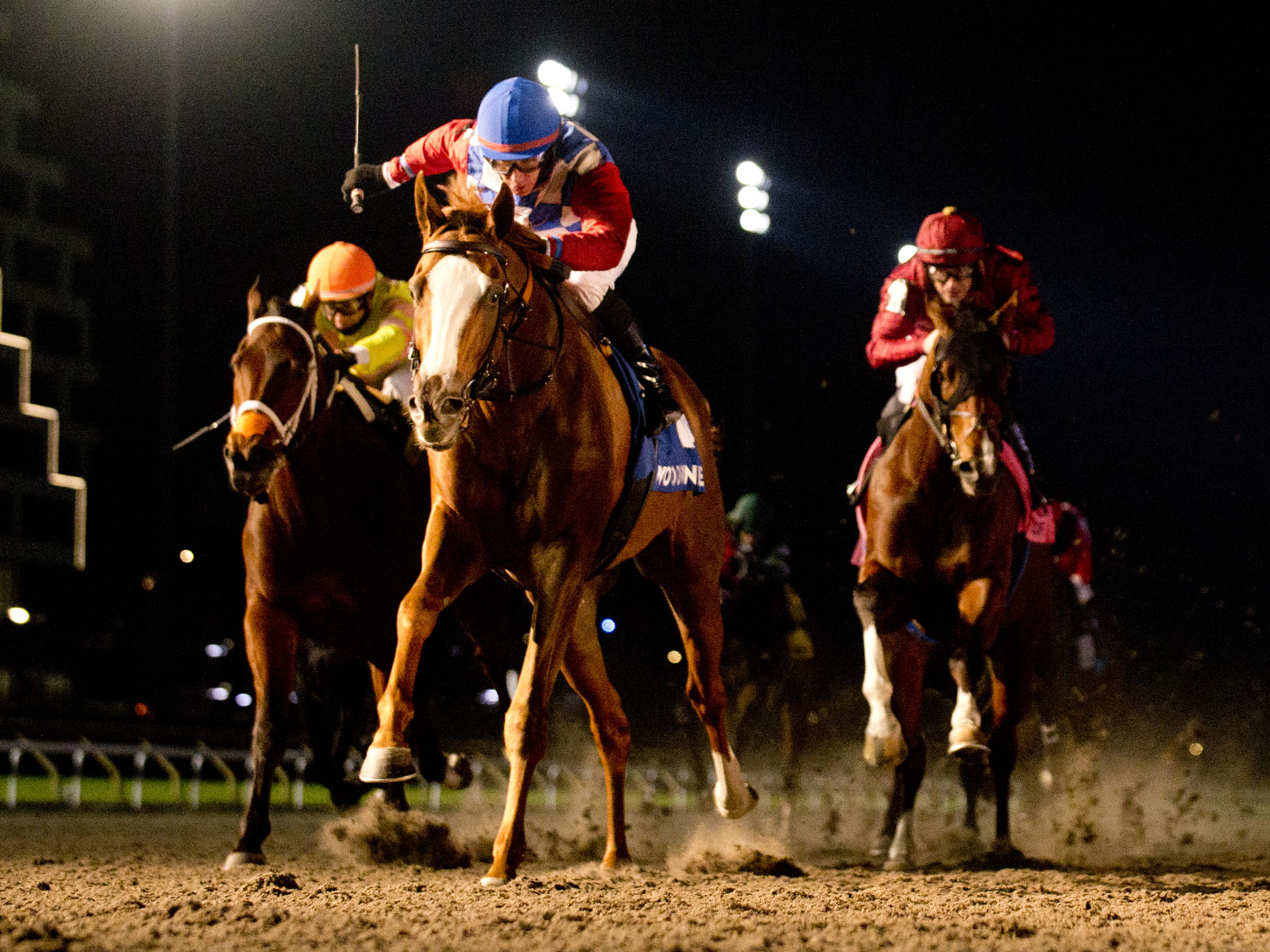 Trio of Action-Packed Grade 3 Stakes at Woodbine 