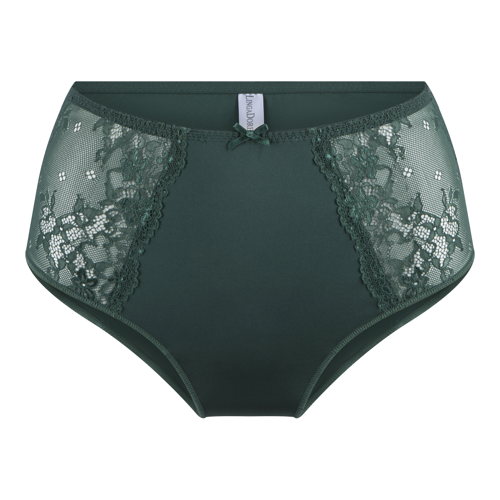 LINGADORE_FW24_1400B-1_HighWaistBrief_GardenGreen_EUR21.95