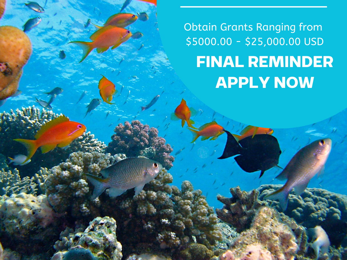 Final Reminder: Apply Now for the Regional MSME Matching Grants Programme – Deadline November 29, 2024