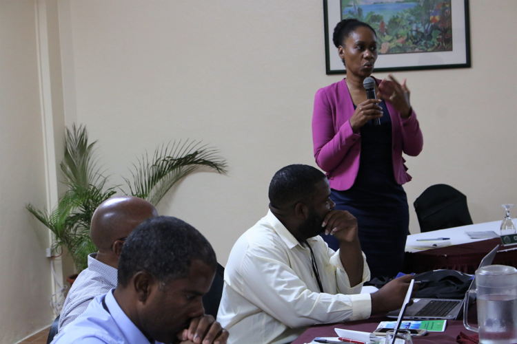 Judith Ephraim, Programme Coordinator, OECS Sustainable Energy Unit, addresses the gathering.