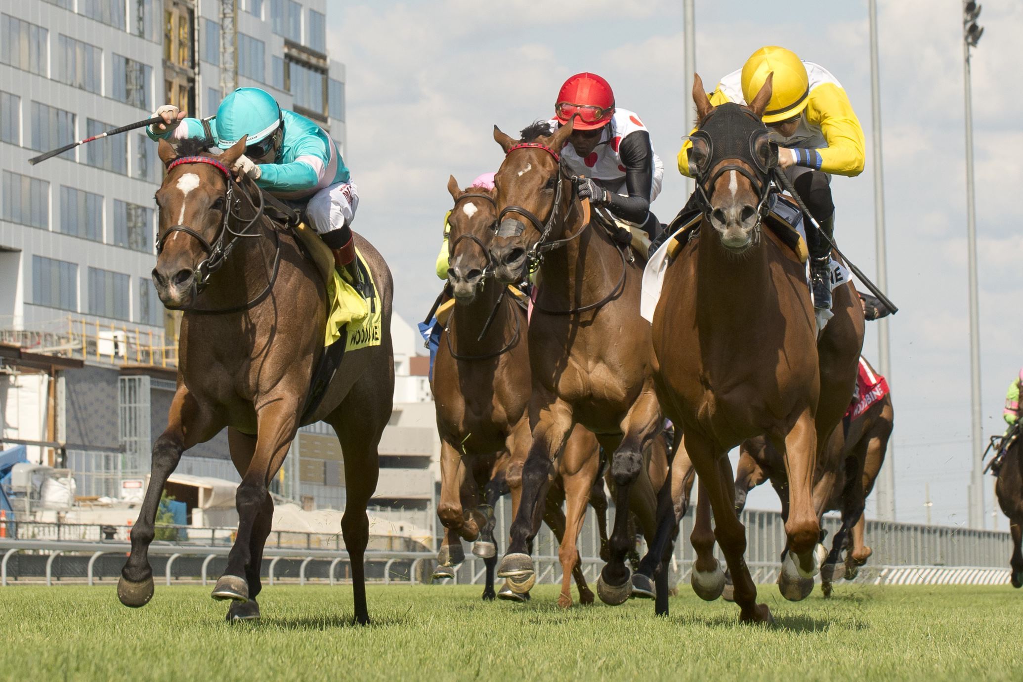 Lady Speightspeare (Gold and Blue Silks) finishing in a Dead-Heat in the July 2 Grade 2 Nassau. The Roger Attfield trainee will compete in Sunday's Grade 2 Dance Smartly. (Michael Burns photo)