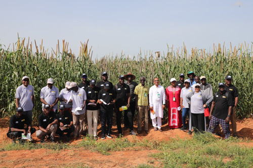 Renforcement du secteur semencier au Sahel pour l'amélioration de la production agricole