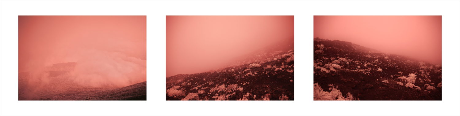 Leonard Pongo, Primordial Earth, courtesy of the artist(2)