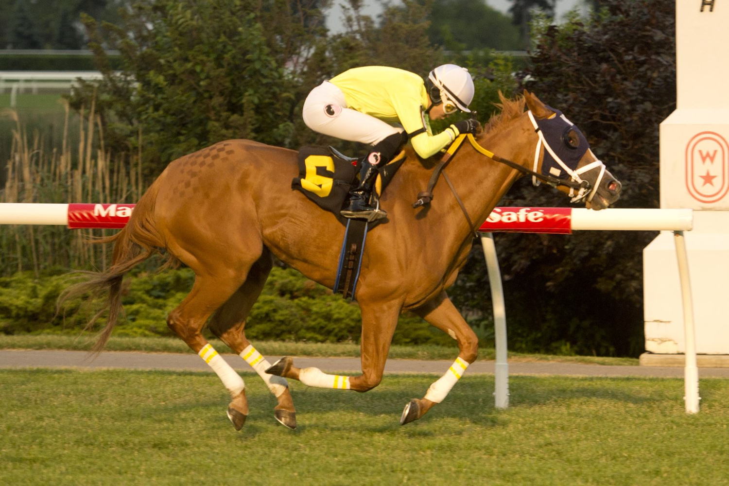Gal for TJ and jockey Rachel Slevinsky winning on June 15, 2023 at Woodbine (Michael Burns Photo)