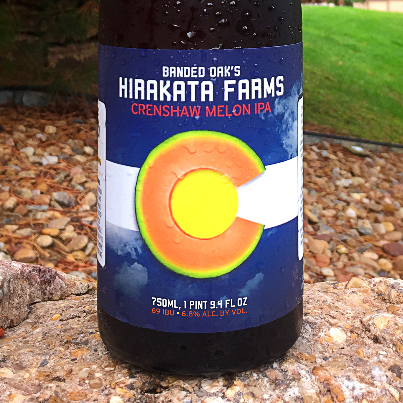 Rocky Ford's Hirakata Farms celebrates the end of the 2018 season with release of Banded Oak's Hirakata Farms Crenshaw Melon IPA
