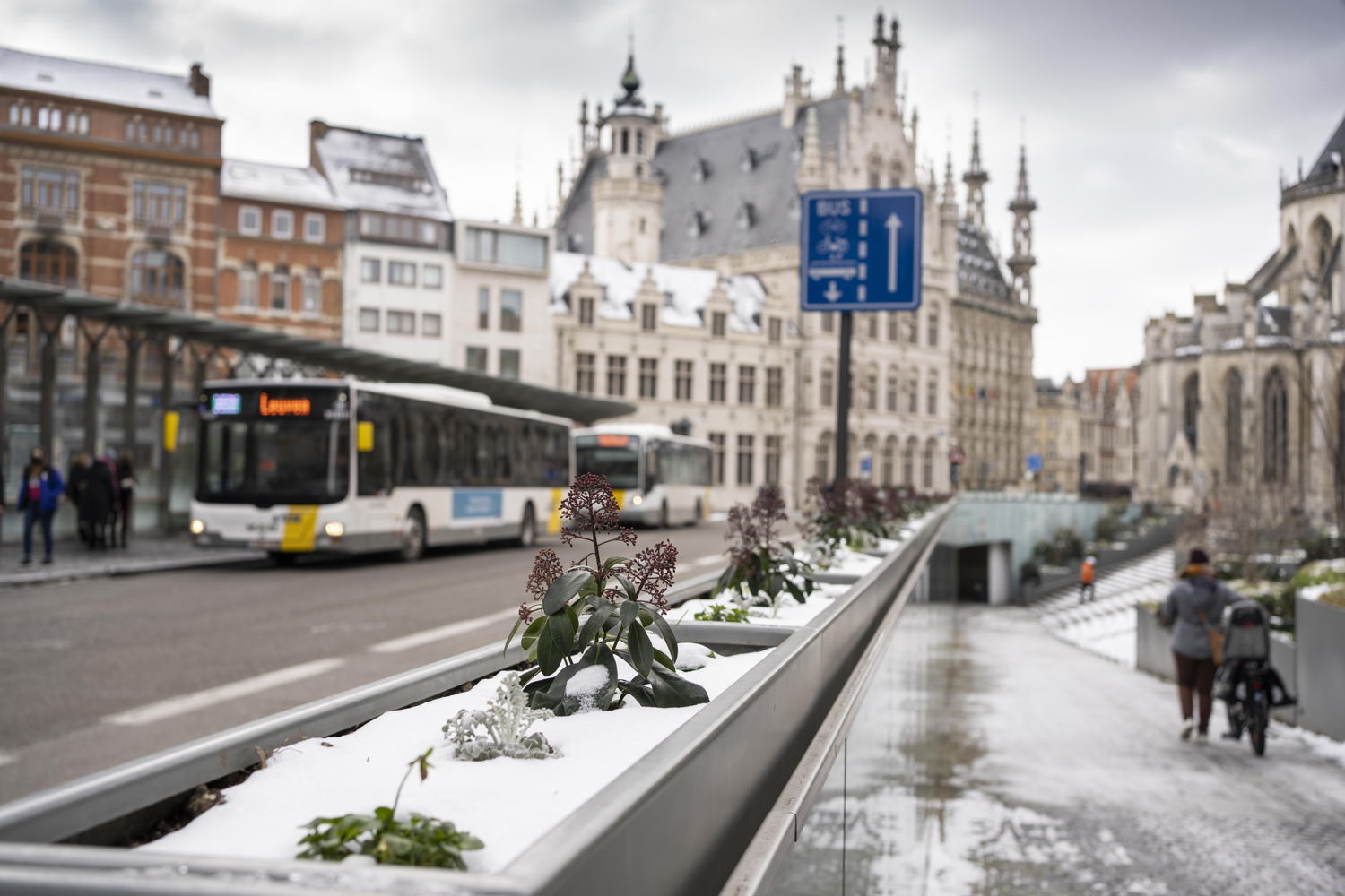 Leuven Rector de Somerplein