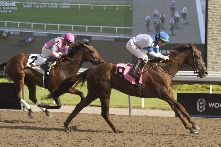 Hall of Dreams and jockey Kazushi Kimura winning on the Tapeta on June 25 2022 at Woodbine. (Michael Burns Photo)