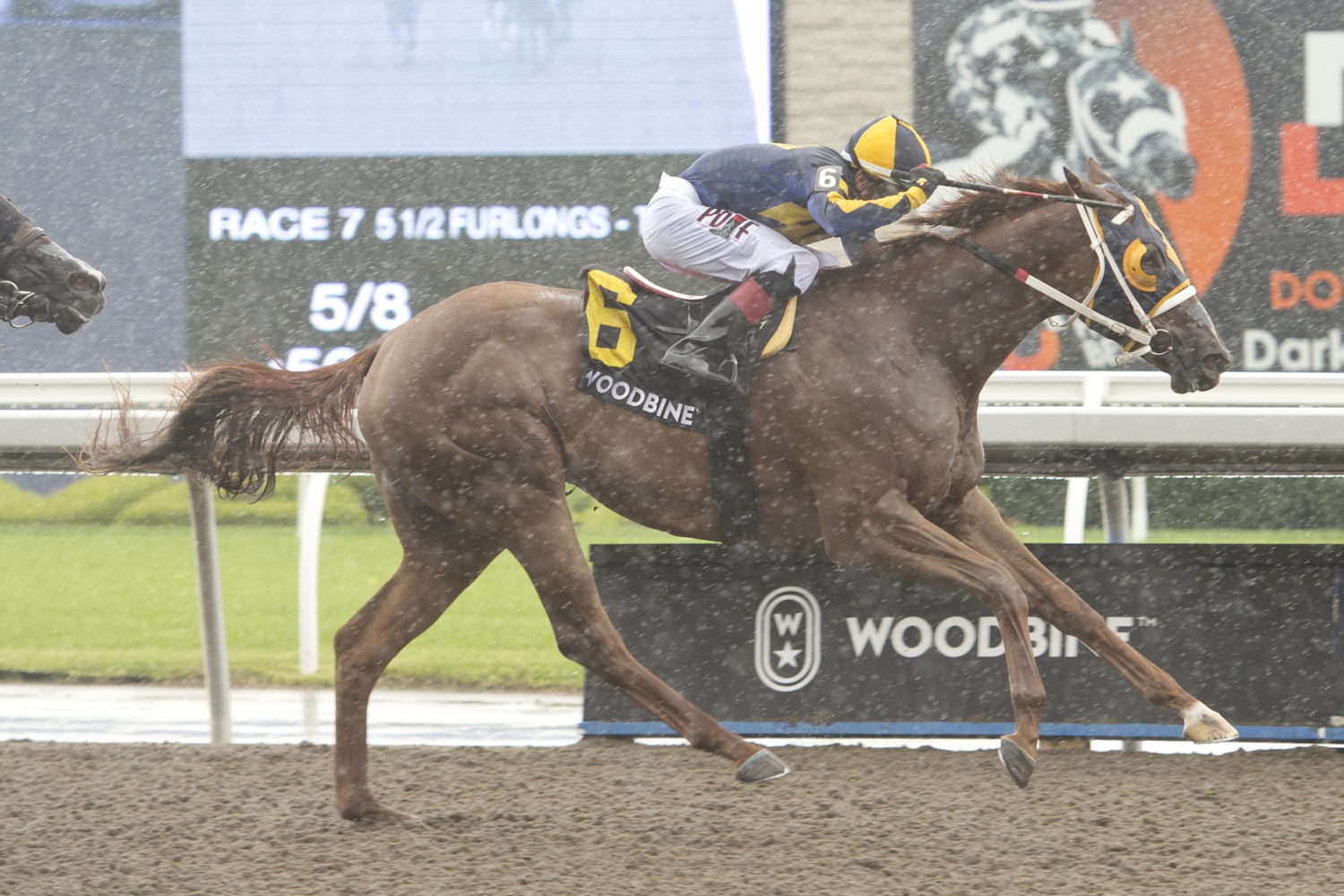 Living Magic and jockey Rafael Hernandez winning the My Dear Stakes on July 15, 2023 at Woodbine (Michael Burns Photo)