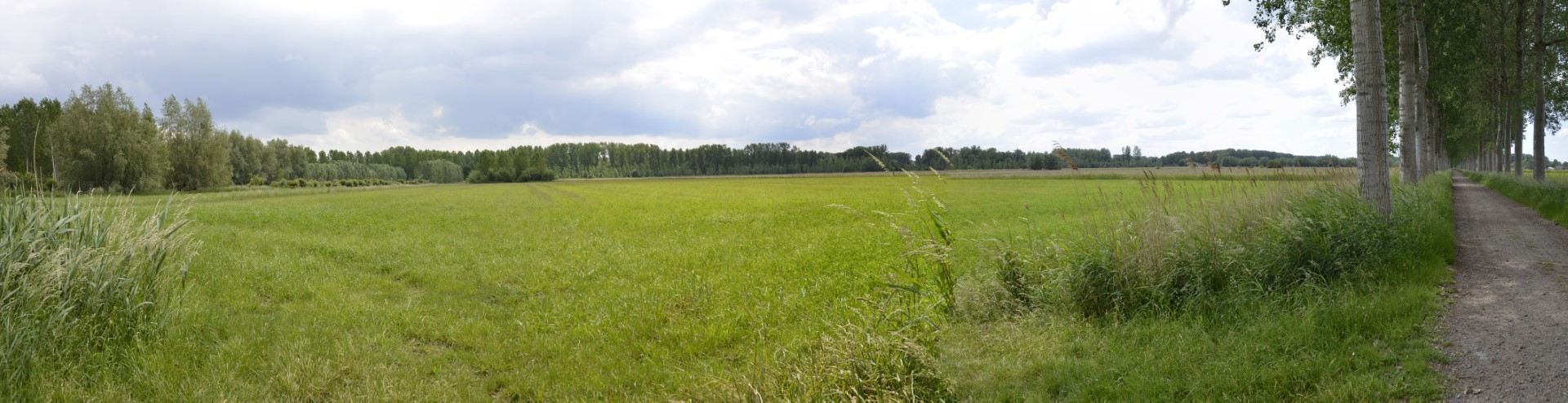 Zicht op projectgebied Maaibos