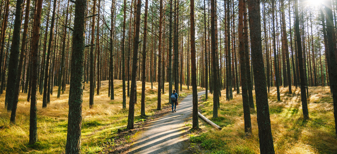 5 wandelpaden om de Litouwse natuurpracht dit najaar te ontdekken  