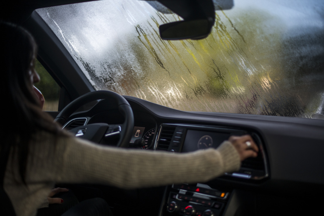 Feuilles mortes, pluie et brouillard : 10 conseils pour faire face aux défis de la conduite en automne