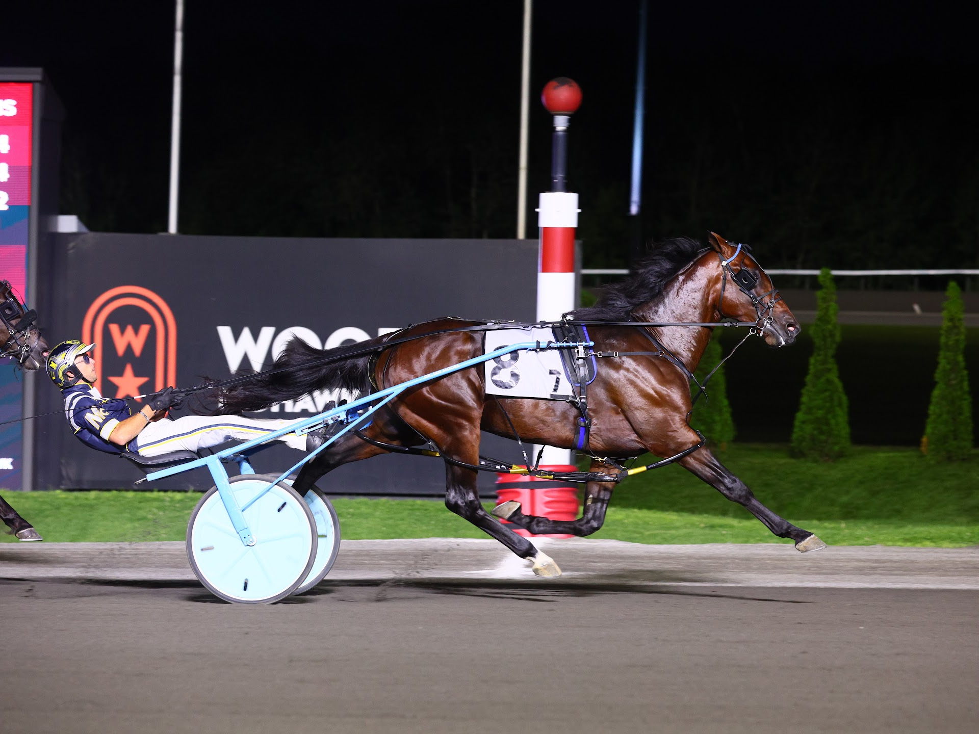 Battle of Waterloo straight to final with eight entered