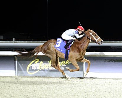 Brindi at Turfway Park on January 17, 2025 (Photo by Coady Media)