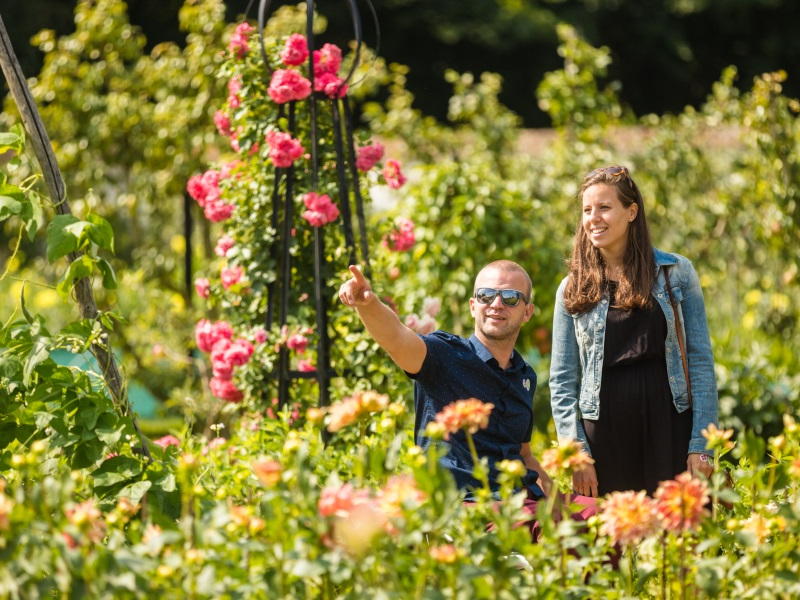 Museumtuin Gaasbeek gooit de poorten open op zondag 8 september