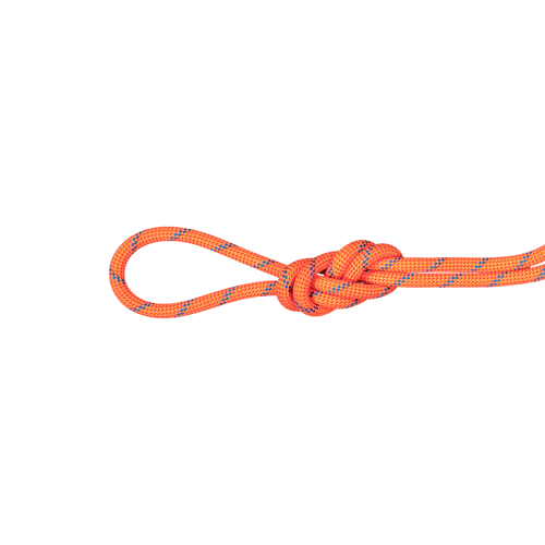 7.5 Alpine Sender Dry Rope 