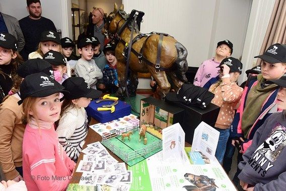 Via de uitleenkoffers kunnen leerlingen op een speelse manier leren over het Brabants trekpaard