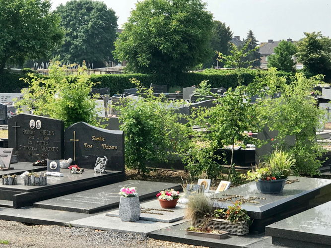 Vergroening-begraafplaats-Diest