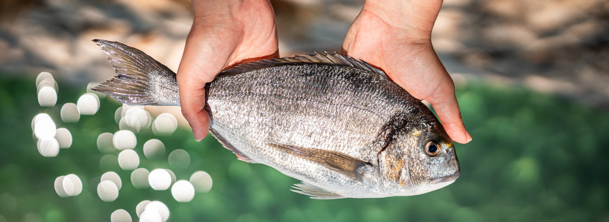 Vis op het menu? Check het keurmerk!