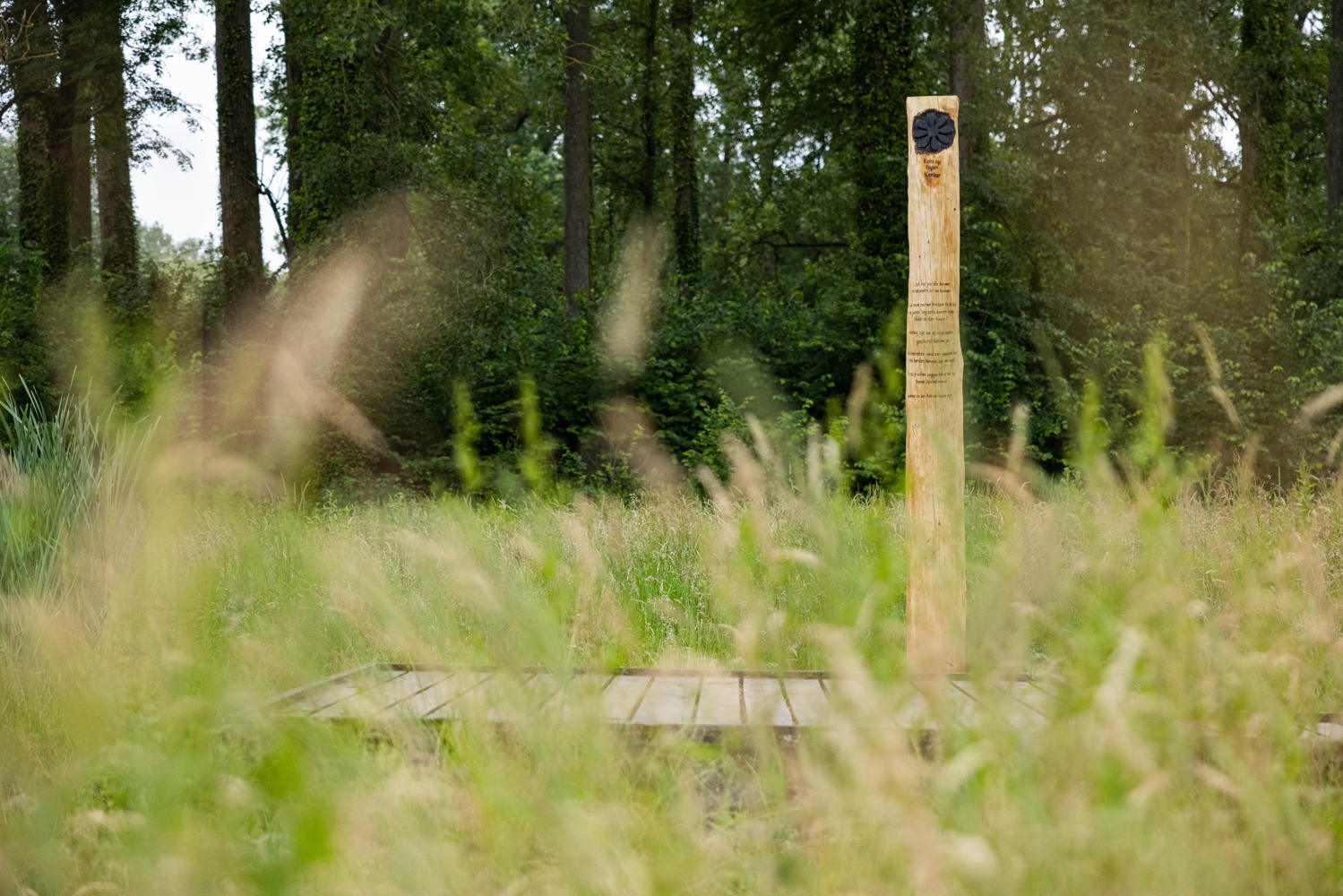 (c) Moonshot - Wandelpad Zwalmvallei, met gedicht van Maud Vanhauwaert