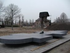 Sofie Muller, Laarne (2010)