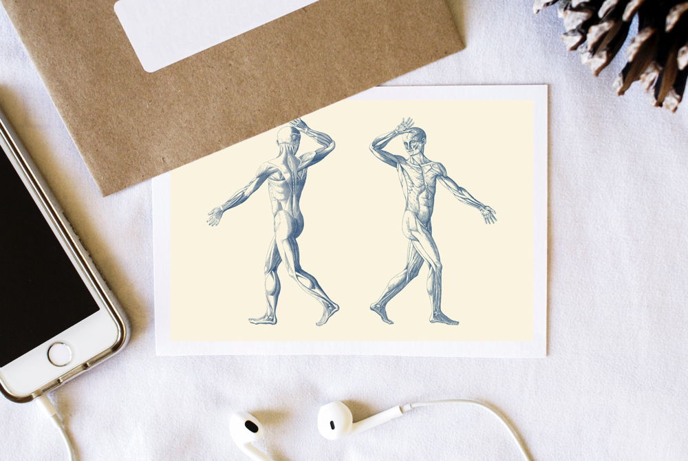 Vintage anatomy print features a dual artistic view of a moving muscular system / AKG6164702