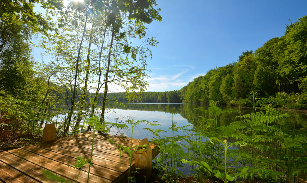 Uitzicht Forest Resort Your Nature
