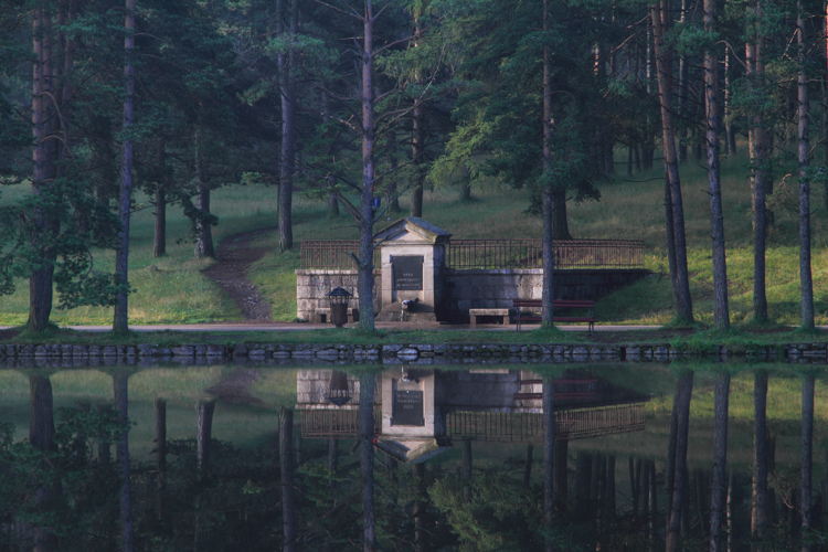 Zlatibor cesma