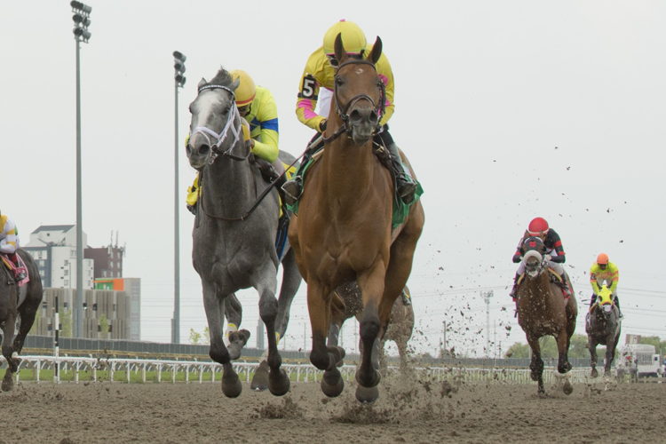 Turf King and jockey Kazushi Kimura winning the Marine Stakes on July 1, 2023 at Woodbine (Michael Burns Photo)