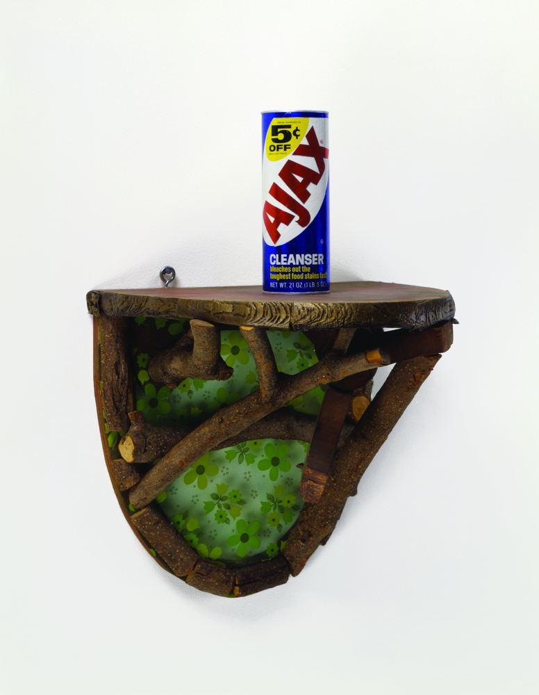 MACS  Haim Steinbach Shelf With Ajax, 1981