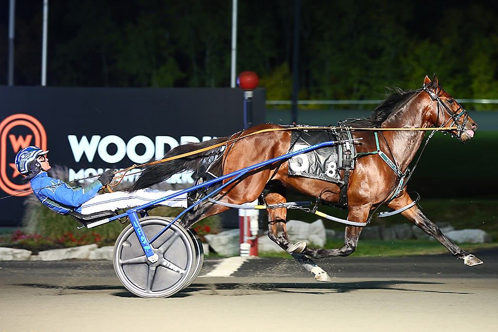Pebble Beach and driver Todd McCarthy winning the 3 Year Old Colt Breeders Crown Elimination on Saturday October 22nd at Woodbine Mohawk Park (New Image Media) 