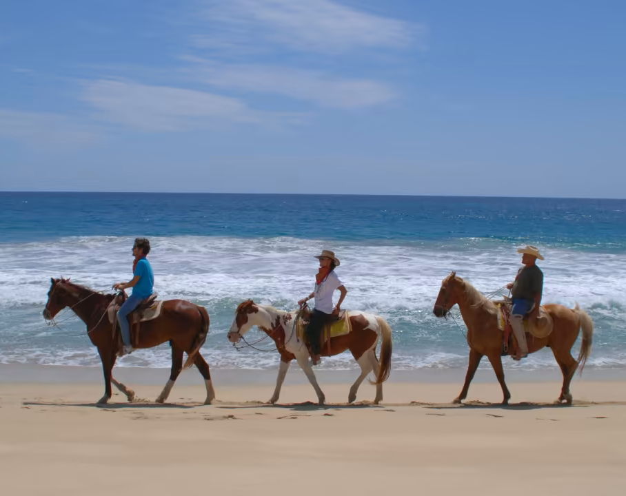 Horseback riding