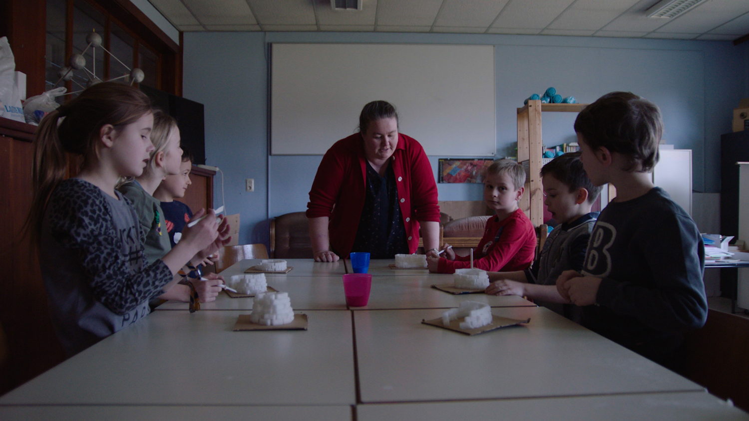 Pano, 'Het basisonderwijs kraakt' (c) VRT